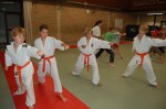 ook de judoka's waren van de partij