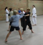 de stootkussens waren zeer in trek